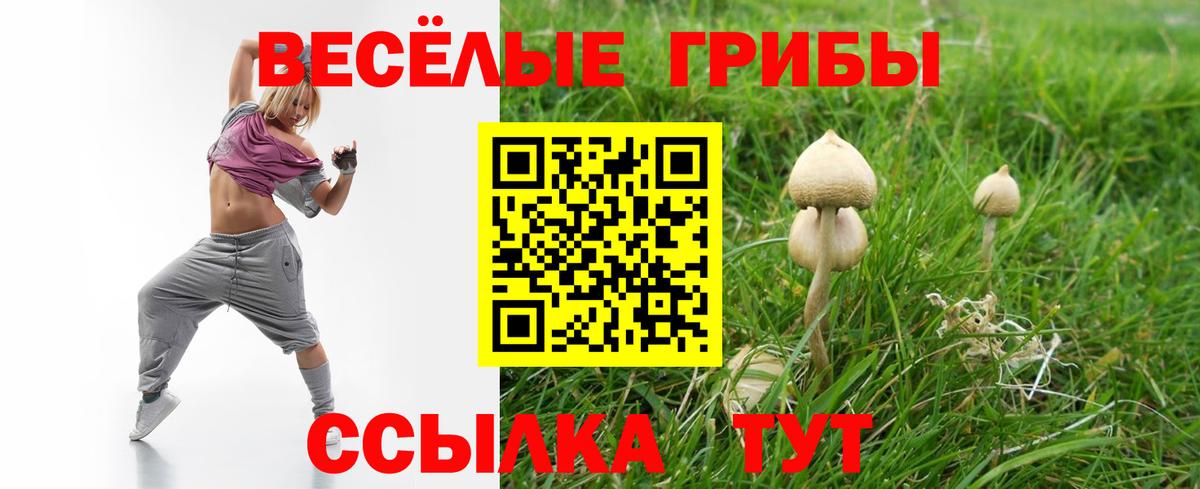 Псилоцибиновые грибы ЛСД  Галлюциногенные грибы мицелий  Кировск  Вход с VPN 